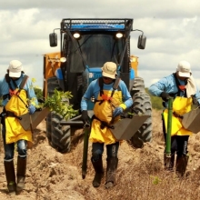 Amazon Reforestation-Linked Bond